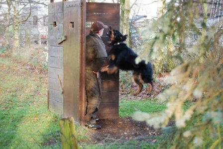 Baxter springt am Versteck