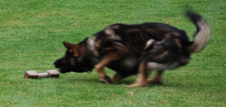 Bringen