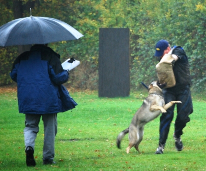 Schutzdienst 26.10.08 296