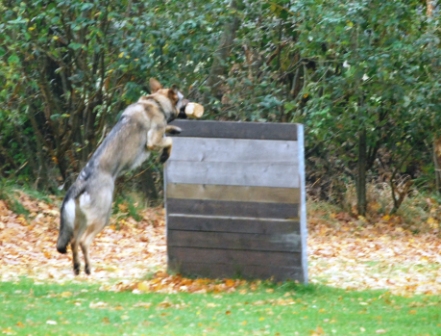 Unterordnung 26.10.08 215